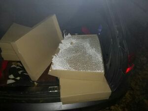 PSG w Jeleniej Górze