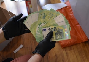 Działania Straży Granicznej Działania Straży Granicznej