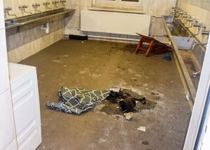 Działania służb Działania służb