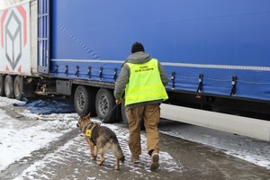 Uderzenie SG i KAS w zorganizowaną przestępczość