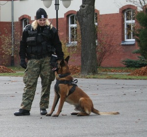praca z psem służbowym 