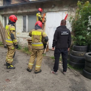 3 magazyny z nielegalnym tytoniem zlikwidowane w Lubuskiem 3 magazyny z nielegalnym tytoniem zlikwidowane w Lubuskiem