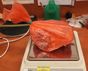 Zatrzymane w Świecku narkotyki Zatrzymane w Świecku narkotyki leżą na wadze