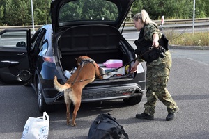 BRYŚ w trakcie przeszukania auta BRYŚ w trakcie przeszukania auta