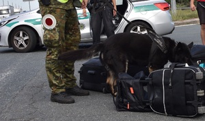 EGON świetnie pracuje w różnych warunkach EGON świetnie pracuje w różnych warunkach