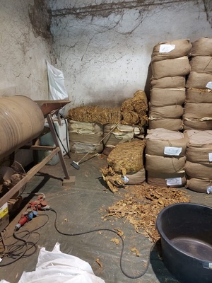 Zabezpieczony tytoń Zabezpieczony tytoń