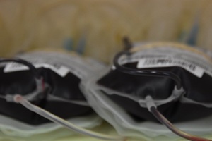 Zebrana krew Zebrana krew