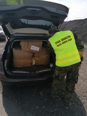 Autem przewożony był susz tytoniowy Autem przewożony był susz tytoniowy