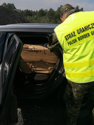 Autem przewożony był susz tytoniowy Autem przewożony był susz tytoniowy