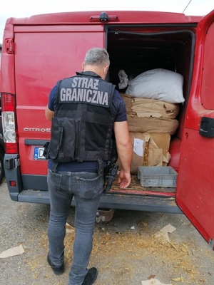 Zabezpieczony tytoń do palenia Zabezpieczony tytoń do palenia