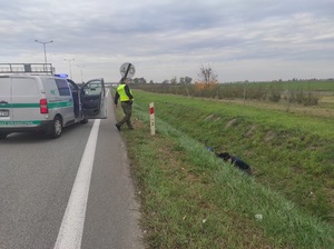 Zatrzymani cudzoziemcy Zatrzymani cudzoziemcy