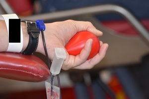 Akcja "Nasza Krew - Nasza Ojczyzna" Akcja &quot;Nasza Krew - Nasza Ojczyzna&quot;