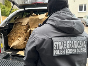 Zatrzymany tytoń pochodzący z nielegalnego źródła Zatrzymany tytoń pochodzący z nielegalnego źródła
