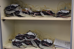 Honorowe krwiodawstwo w NoOSG Honorowe krwiodawstwo w NoOSG