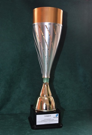 Turniej strzelecki o Puchar Starosty Nowosolskiego Turniej strzelecki o Puchar Starosty Nowosolskiego