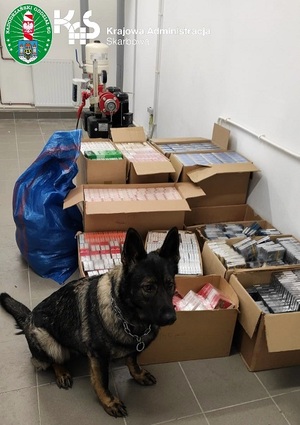 Zatrzymanie wyrobów akcyzowych Zatrzymanie wyrobów akcyzowych