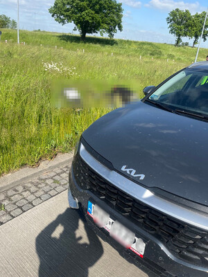 Zatrzymanie cudzoziemców Zatrzymanie cudzoziemców