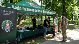 Festyn w Krośnie Odrzańskim Festyn w Krośnie Odrzańskim