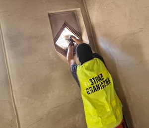 Akcja ratowania pustułki Akcja ratowania pustułki