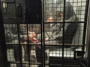 Zatrzymanie cudzoziemców Zatrzymanie cudzoziemców