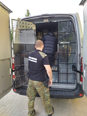 Zatrzymanie cudzoziemców Zatrzymanie cudzoziemców