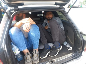 Wspólne polsko-niemieckie działania kontrolne Wspólne polsko-niemieckie działania kontrolne