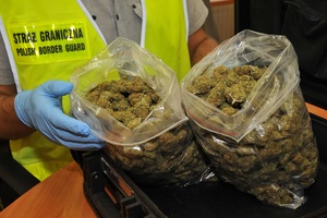 Zatrzymanie narkotyków Zatrzymanie narkotyków