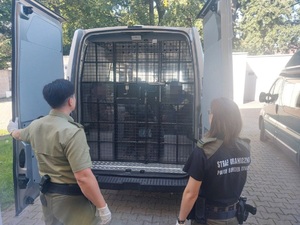 Zatrzymanie cudzoziemców Zatrzymanie cudzoziemców