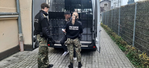 Zatrzymani cudzoziemcy Zatrzymani cudzoziemcy