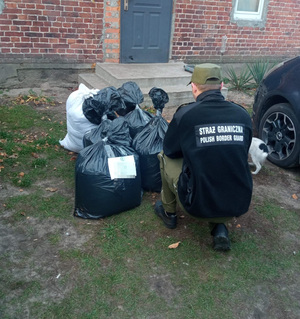 Rozbita tytoniowa szajka Rozbita tytoniowa szajka