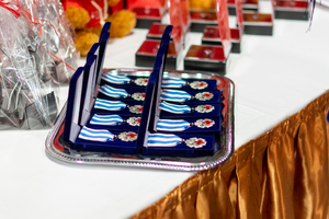 Zielonogórskie Dni Honorowego Krwiodawstwa Zielonogórskie Dni Honorowego Krwiodawstwa