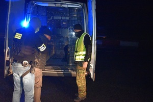 Zatrzymany cudzoziemiec Zatrzymany cudzoziemiec