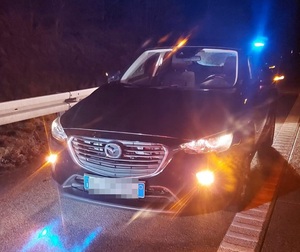 Odzyskana mazda Odzyskana mazda