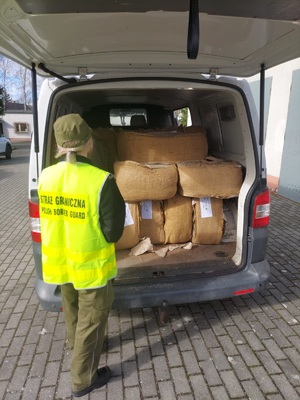 Zatrzymany susz tytoniowy Zatrzymany susz tytoniowy