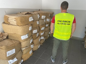 Zatrzymany susz tytoniowy Zatrzymany susz tytoniowy