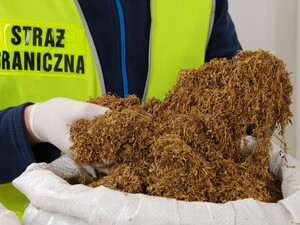 Zatrzymany susz tytoniowy Zatrzymany susz tytoniowy