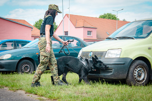 W trakcie zawodów kynologicznych W trakcie zawodów kynologicznych