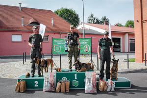 Zwycięzcy_kategoria_psy do_wyszukiwania_materiałów_wybuchowych 