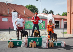 Zwycięzcy_kategoria_psy_ratownicze 