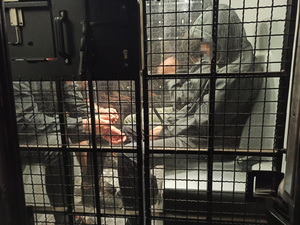 Zatrzymani cudzoziemcy Zatrzymani cudzoziemcy