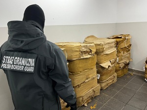 Funkcjonariusz Nadodrzańskiego Oddziału Straży Granicznej z zatrzymanymi w samochodzie nielegalnymi wyrobami tytoniowymi Funkcjonariusz Nadodrzańskiego Oddziału Straży Granicznej z zatrzymanymi w samochodzie nielegalnymi wyrobami tytoniowymi