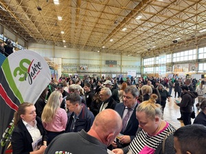 Targi pracy w hali Zespołu Szkół Licealnych i Technicznych w Gubinie Targi pracy w hali Zespołu Szkół Licealnych i Technicznych w Gubinie