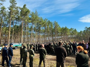 Akcja sadzenia drzew Akcja sadzenia drzew