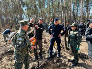 Akcja sadzenia drzew Akcja sadzenia drzew