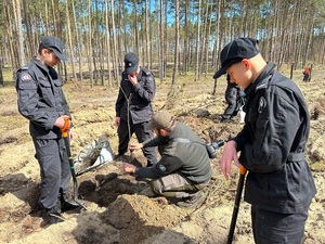 Akcja sadzenia drzew Akcja sadzenia drzew