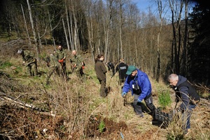 Akcja sadzenia drzew Akcja sadzenia drzew
