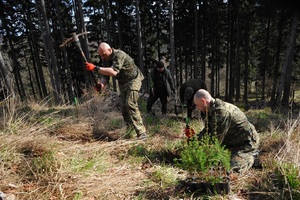 Akcja sadzenia drzew Akcja sadzenia drzew