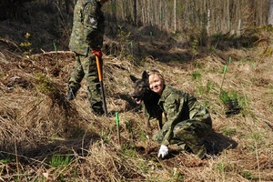 Akcja sadzenia drzew Akcja sadzenia drzew