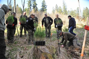 Akcja sadzenia drzew Akcja sadzenia drzew