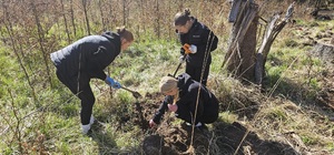 Akcja sadzenia drzew Akcja sadzenia drzew